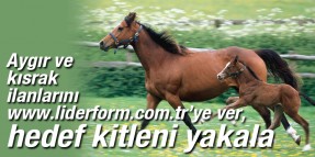 Aygır ve kısrak ilanlarını at yarışının amirali www.liderform.com.tr’ye ver