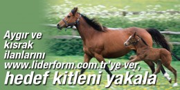 Aygır ve kısrak ilanlarını at yarışının amirali www.liderform.com.tr’ye ver