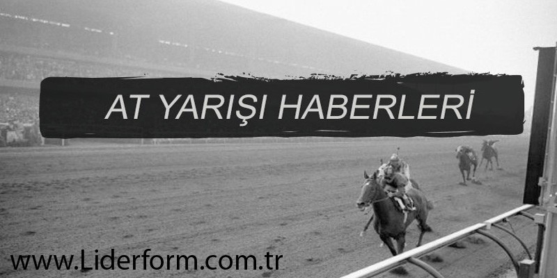 Elazığ Vali Koşusunu son virajda ön grupta giden 2 safkan jokeylerini düşürdü. Jokeylerin son durumları nasıl?