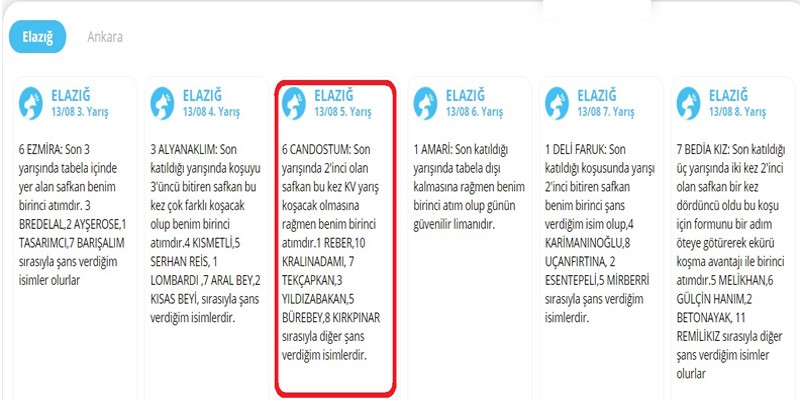 Salı günü Elazığ Yarışlarında TÜYOLAR 28.40 TL ganyanla kazanan safkanı birinci önerdi