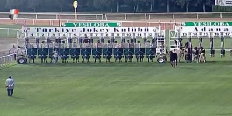 Jokeyin Ayağı Start İçinde Kanama Yapması Ambulansla Hastaneye Sevk Edildi.Son Durum