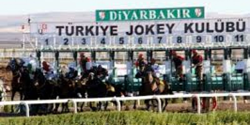 FLYING LİON Koşu İçinde Jokeyini Neden Düşürdü