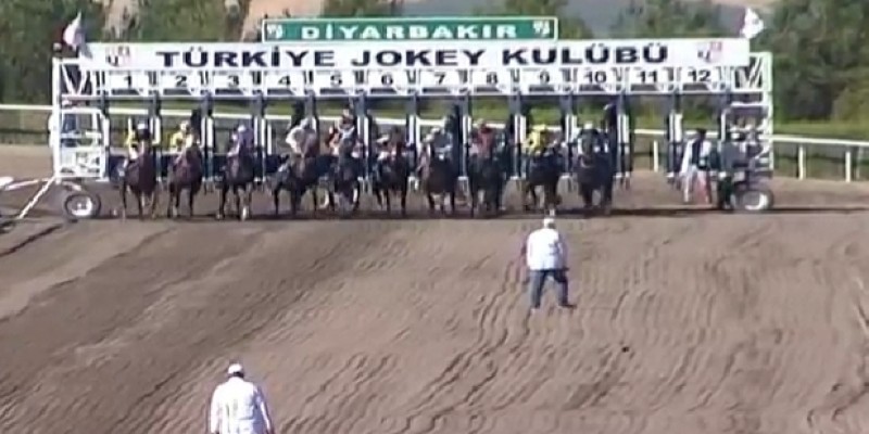 Start verildi safkanın eyeri kaydı Rodeo atları gibi tepinmeye başladı ve Jokeyi atın üstünden kum piste atladı