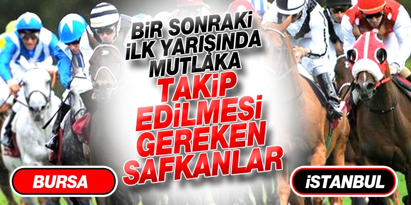 İlk Yarışında Takip Edilmesi Gereken Safkanlar.11 Eylül Cuma Günü İstanbul - Bursa