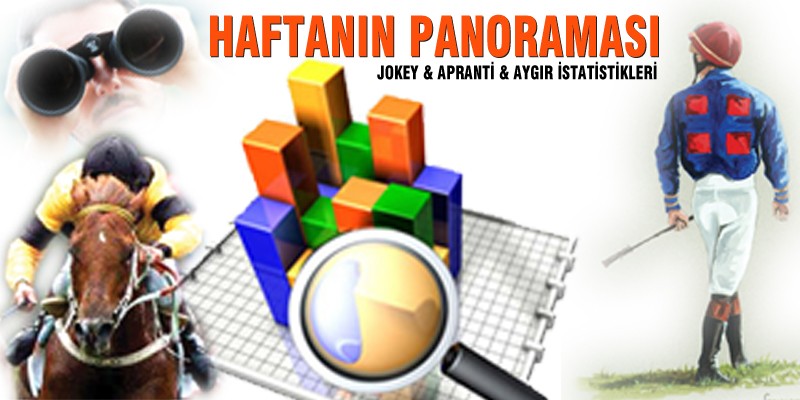 01.01.2019 - 10.11.2019 Tarihleri Arası Türkiye Geneli Jokey - Apranti - Aygır İstatistikleri