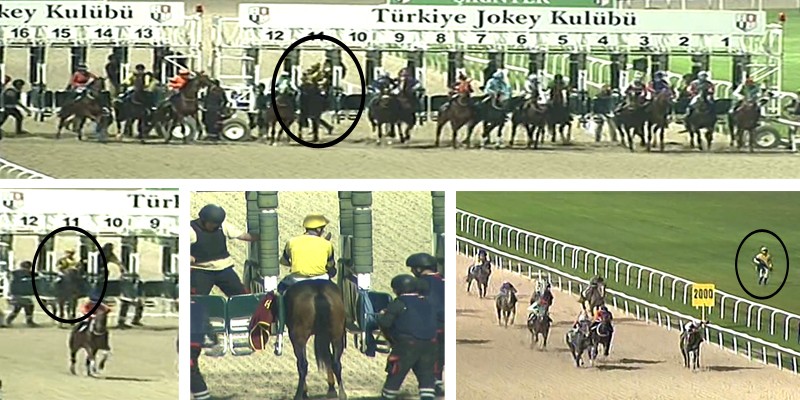 Starttan safkan çıkmayınca jokeyi ne yaptı?