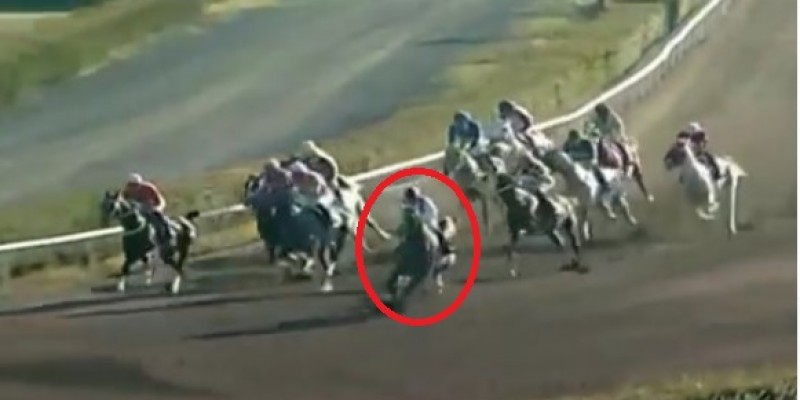 Koşu içinde safkan saparak jokeyini düşürdü. Sakfan kendi ahırına jokeyi de yürüyerek jokey odasına gitti