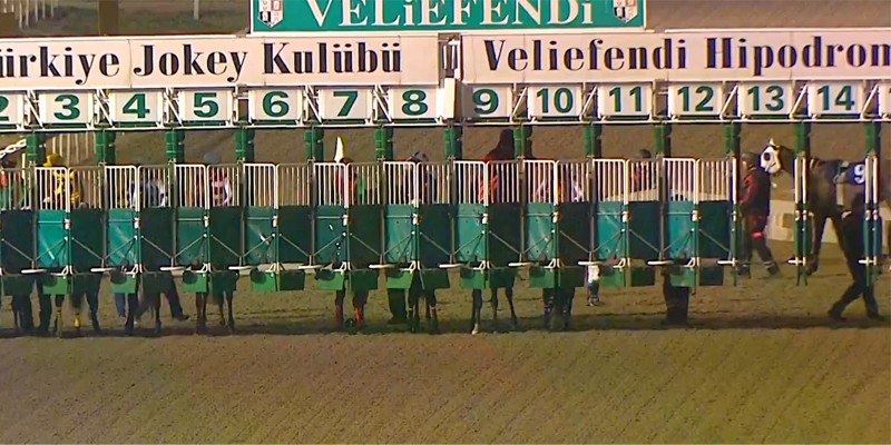 İstanbul Yarış Komiserleri İngiliz safkanların start girişinde adaletli davranmıyorlar