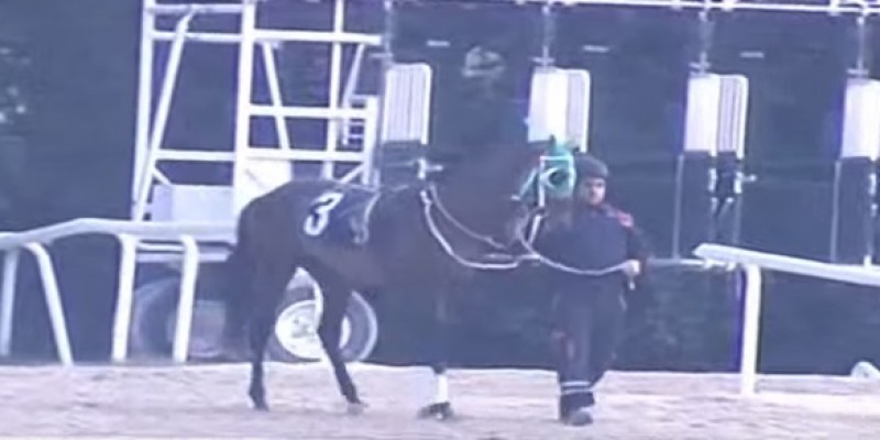 AGF %70 Olan safkana ayağı toparlayan acı çeken jokeyi bindirdiler at Koşuyu kaçıncı bitirdi