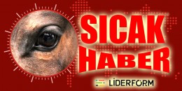 Kura çekilen aygırlar için belirlenen Şubat ayı yedek listesi yayınlandı
