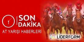 Can Dadaş'ın sahibine 120 gün at koşturmasına men cezası verilerek YKK'ya sevk edildi