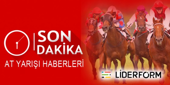 Can Dadaş'ın sahibine 120 gün at koşturmasına men cezası verilerek YKK'ya sevk edildi
