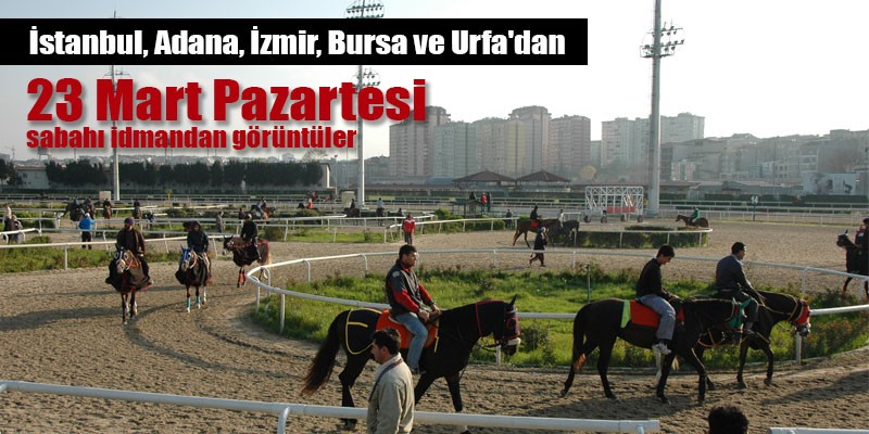 23 Mart Pazartesi sabahı İstanbul,  İzmir, Adana ,Şanlıurfa, ve Bursa Hipodromlarından idman görüntüleri