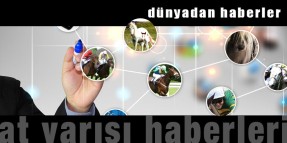 Dünya'dan haberler