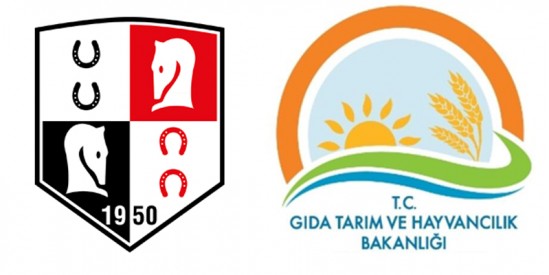 TJK ve YKK'da görev değişiklikleri