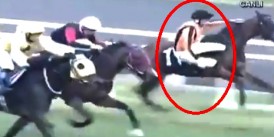 Safkan Kazanmaya Koşarken bir anda Jokeyinin kontrolü dışında barıyer dibine sapması Jokeyini düşürdü tabela dışı kaldı.