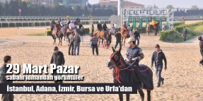 29 Mart Pazar sabahı İstanbul, İzmir, Adana, Bursa ve Şanlıurfa Hipodromlarından idman görüntüleri