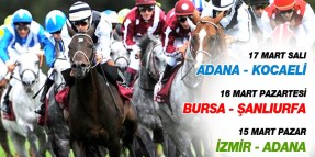 15 Mart (İZM-ADA) 16 MART (BUR-ŞAN) 17 MART (ADA-KOC) da Bir Sonraki Yarışlarında Takip Edilmesi Gereken Safkanlar