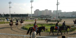 5 Nisan Pazar günü İstanbul, Adana, Bursa, İzmir, Şanlıurfa'da kaç adet galop yapılmıştı?
