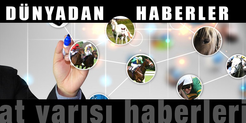 Dünyadan atlar ve insanlar arasındaki ilişkileri gösteren ilginç ve eğlenceli fotoğraflar & videolar