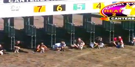 Atlar Dinlenmede Start köpeklere verildi.