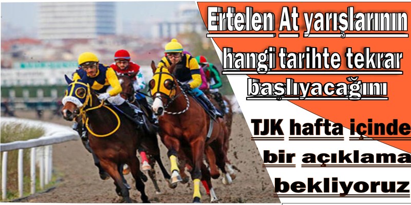 Ertelenen At Yarışlarının hangi tarihte tekrar başlayacağını TJK'nın hafta içinde bir açıklama bekliyoruz