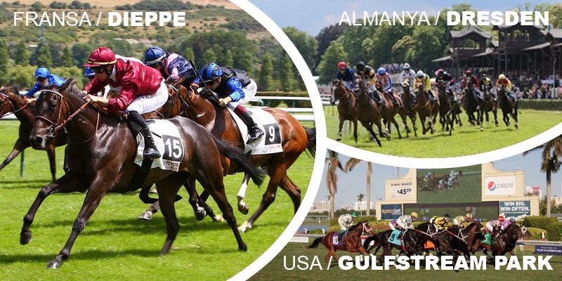 30 Mayıs Cumartesi günü Dieppe, Dresden ve Gulfstream Park Hipodromları'ndaki yarışlarda toplamda 5 ALTILI GANYAN oynanacaktır