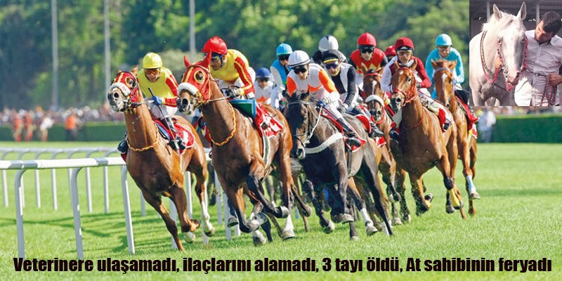 At sahibi Beşir Kaya Cumhuriyet Gazetesi’nde ATLAR ÖLÜYOR dedi