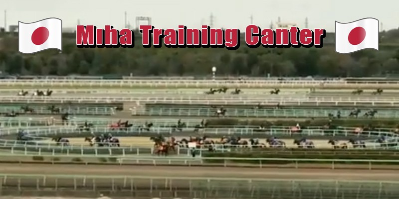 Japonya da Miha Training Canter idman merkezinin ülkemizde benzerini  görmek her at sevdalısının bir özlemidir
