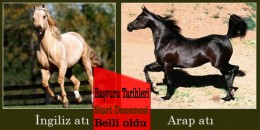 İlk defa koşacak İngiliz ve Arap tayları için start denenmesi başvuru tarihleri belli oldu."