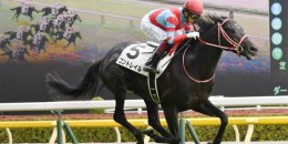 CONTRAIL, Tokyo Yushun. 87 (Japenesse Derby) GR’i kazanarak geçilmezliğini korudu