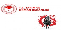 Tarım ve Orman Bakanlığından Atçılara destek açıklaması