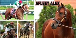 Son virajı dönerken yıkılma tehlikesi geçirdi ve Preakness Stakes'i kazandı