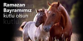 Ramazan Bayramımız kutlu olsun