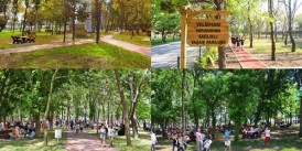 Hipodromlar çocuklarımızı ve gençlerimizi bekliyor