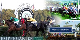 Berlin Hoppegarten yarışlarıyla başlayacak Pazar günü Brezilya Gavea ve ardından Amerika Gulfstream Park yarışları ile sona erecektir