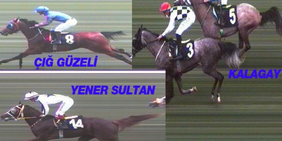 KAIZBERT Tayları Şartlı 1 koşularında 1.04.73, 1.04.75 ve 1.04.77 derece yaptılar