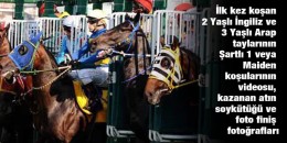 10-25 Haziran Tarihleri Arası 2 Yaşlı İngiliz ve 3 Yaşlı Arap Taylarının ŞARTLI 1 veya MAIDEN koşularına ait bilgiler