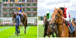 AUTHORIZED temsilcisi SANTIAGO’dan Royal Ascot’ta G2 Queen’s Vase galibiyeti