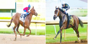 Daredevil’in kızı Shedaresthedevil’den G3 Indiana Oaks jokeyi Florent Geroux bütünleşerek kazandı