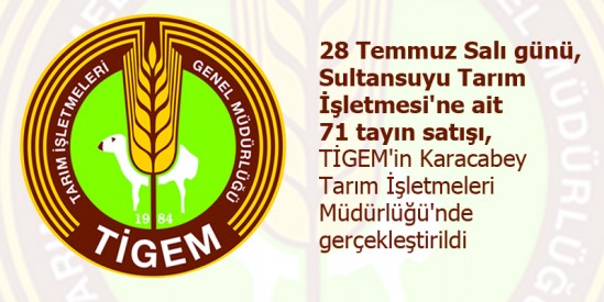 Sultansuyu Tarım İşletmesi taylarının satışı yapıldı