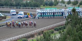 Binici start çıkışında atın başındaki örtüyü çıkarmayı unutunca faciadan dönüldü. Urfa'da ceza rekoru kırıldı