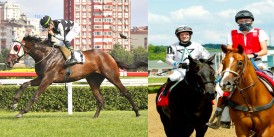 Daredevil’in kızı Esplanande’den bir Stakes galibiyeti daha. Sadun Atığ Koşusu'nu ANADOLU ASLANI kazandı.