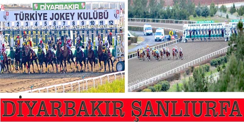 Şanlıurfa ve  Diyarbakır  Hipodromlarına ilave yarışlar eklenmiştir