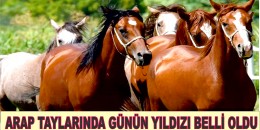 Ankara Cumartesi Arap Taylarında Günün Yıldızı AYPARS oldu