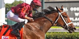 Daredevil’in yavrularından SHEDARESTHEDEVIL 146. Kentucky Oaks’ta tarihin en iyi derecesine imza attı