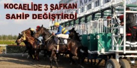 Kocaeli Kartepe Hipodromu'nda Satış Koşusunda 3.safkan sahip değistirdi