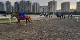Safkanlar orta sahada çalışıyor, yarış severler mağdur oluyor