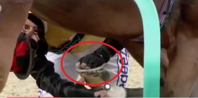 Jokey atın ön sol ayağındaki nalı kendi elinle söküp çıkardı ve koşuyu kazandı