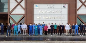 Kısraklarda Reprodüktif Sistem Muayeneleri ve Endometrial Sitoloji eğitimi düzenlendi